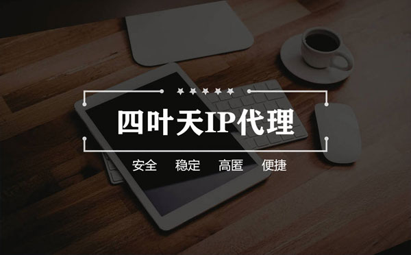 【漳州代理IP】如何快速搭建代理IP？怎么检查代理的效果？